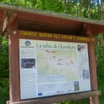 Pannello esplicativo del percorso della selva di Chambons - Foto arch. EGAP Alpi cozie